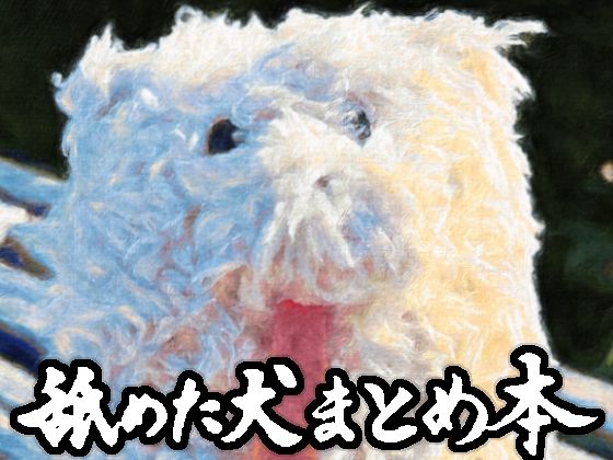 舐めた犬まとめ本 表紙