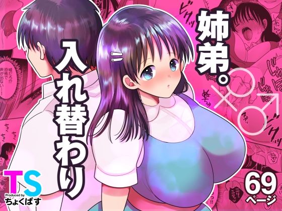 姉弟。入れ替わり 表紙