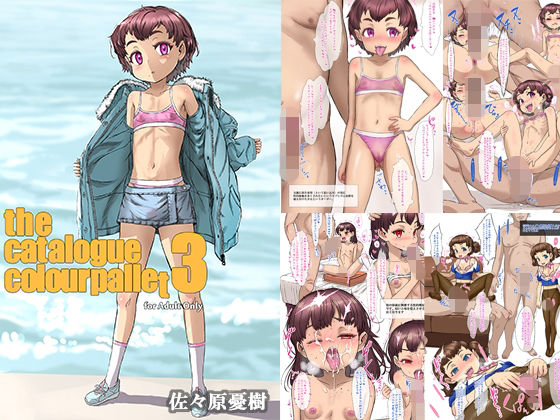the catalogue colourpallet3 表紙