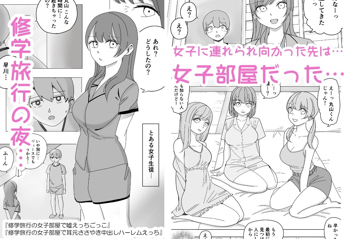 【総集編】ハーレムえっち修学旅行 サンプル