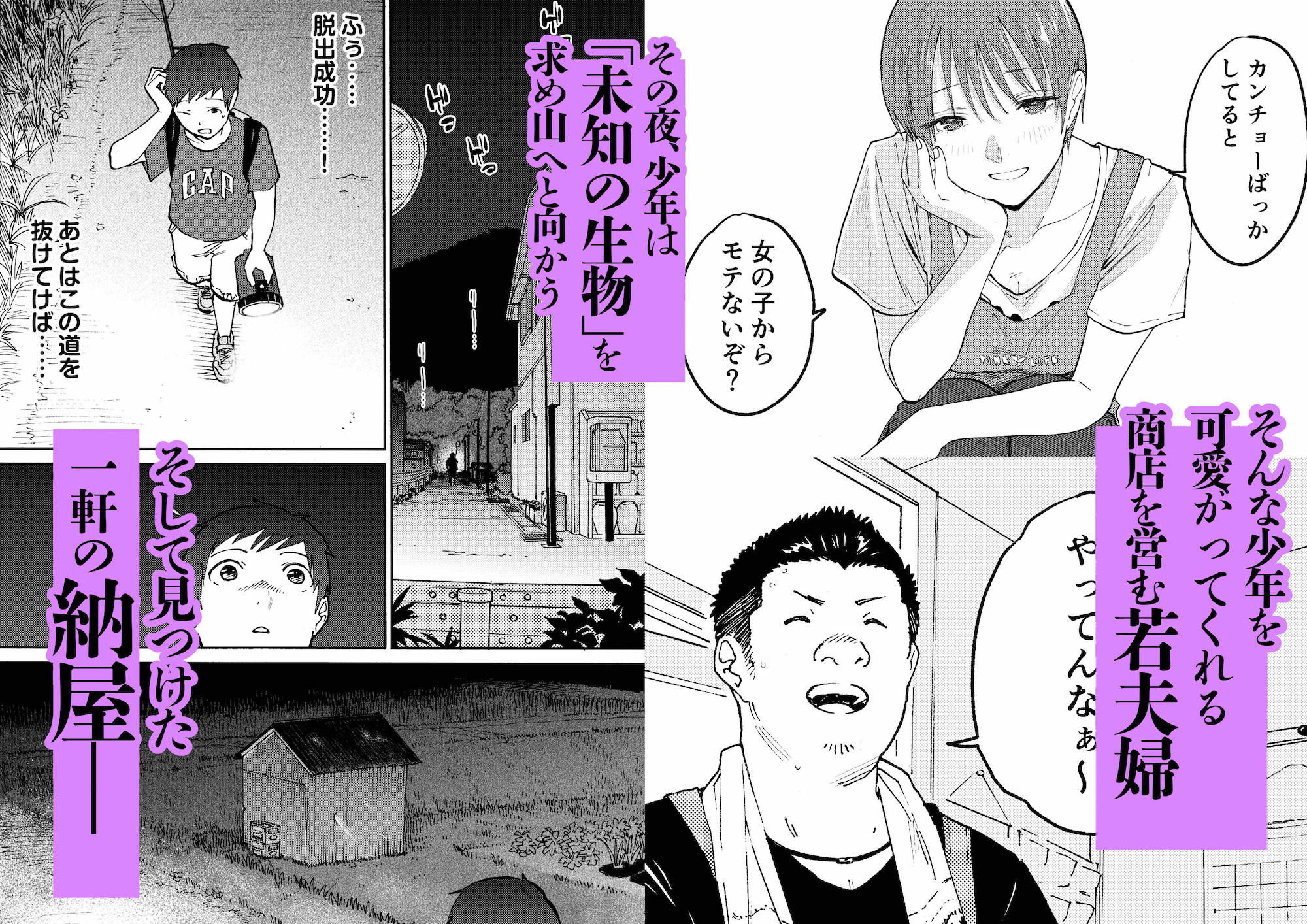 あの納屋 〜ぼくが見たことないおばさんの夜の姿〜 サンプル
