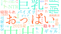 2025年11月13日　配信開始日作品のタグワードクラウド[FANZA]
